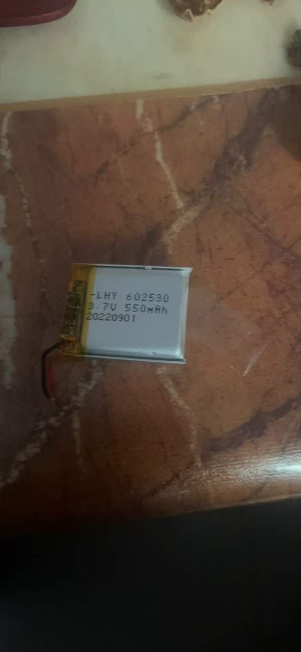 Batterie polymère 550MAH 60253 - Garmin Smartwatch Accessories avis et prix